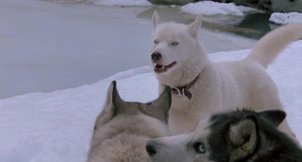 アイアン・ウィル／白銀に燃えての画像