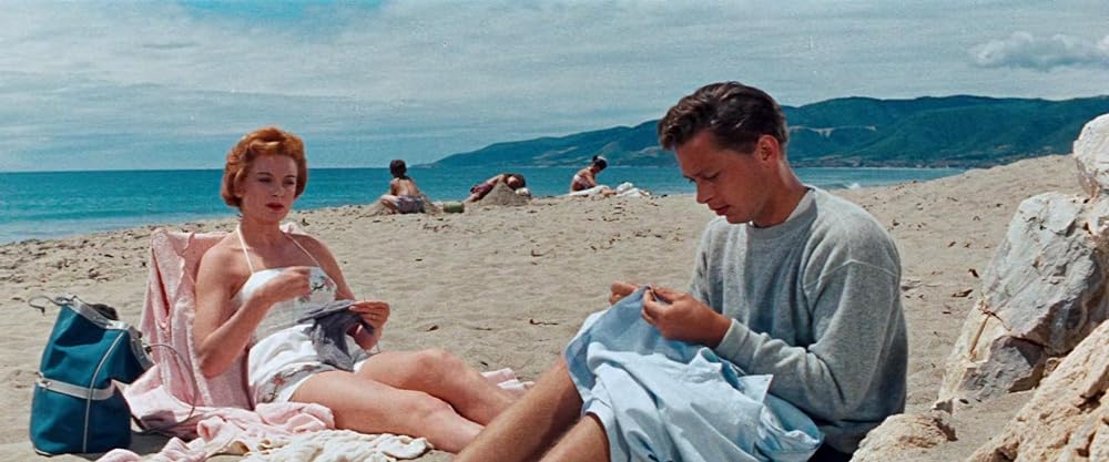 お茶と同情の画像