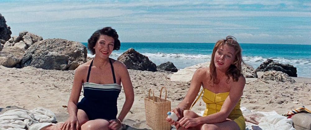 お茶と同情の画像