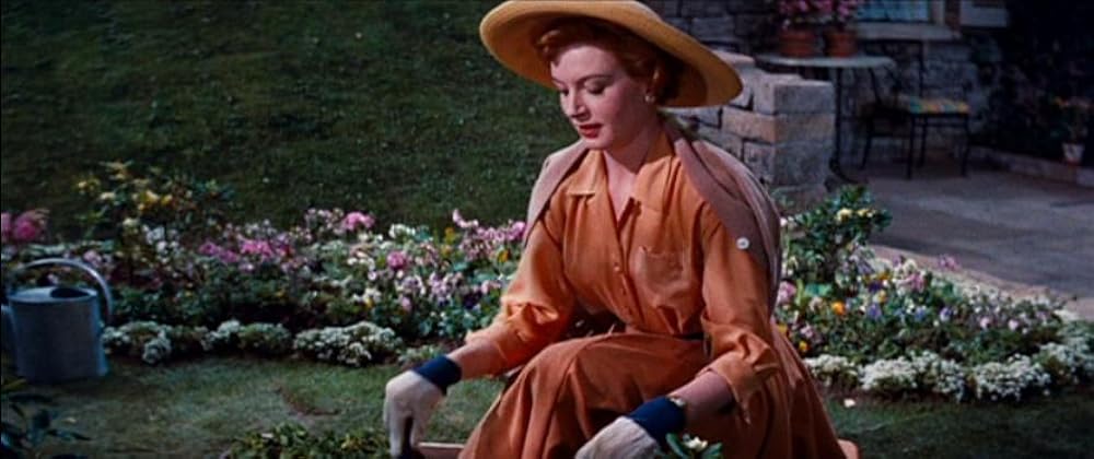 お茶と同情の画像