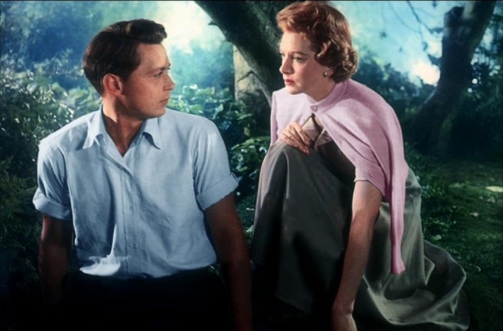 お茶と同情の画像