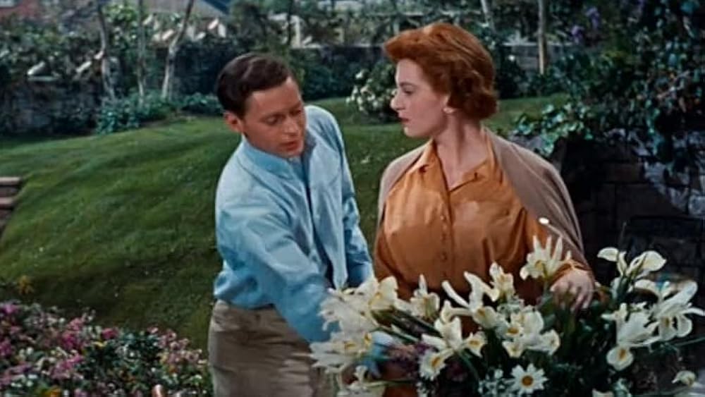 お茶と同情の画像