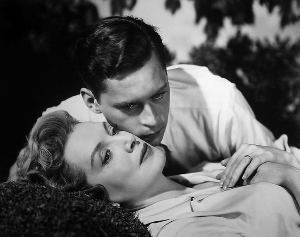 お茶と同情の画像