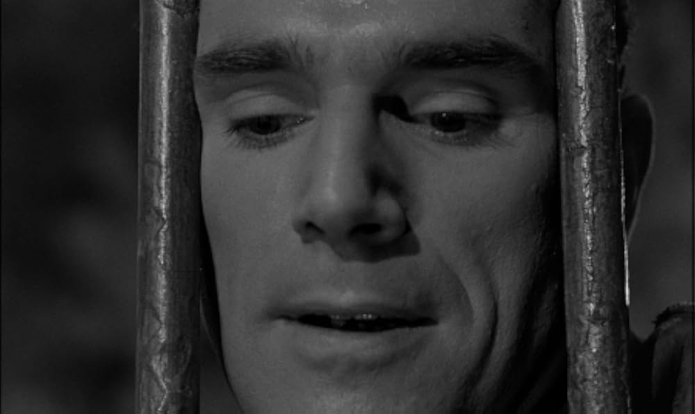 殺られるの画像