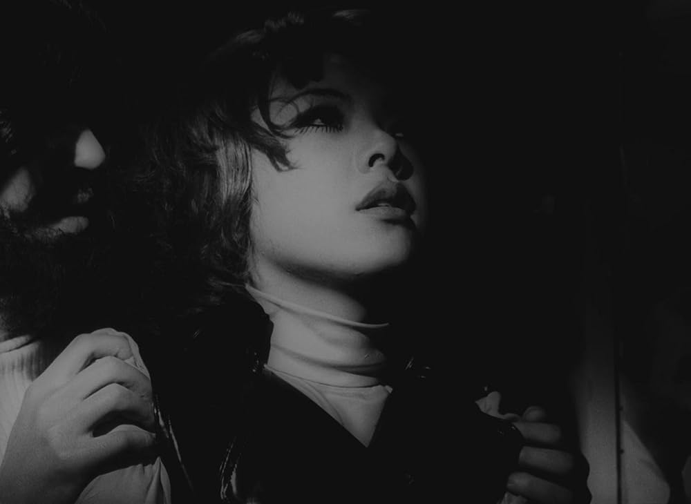 薔薇の葬列の画像