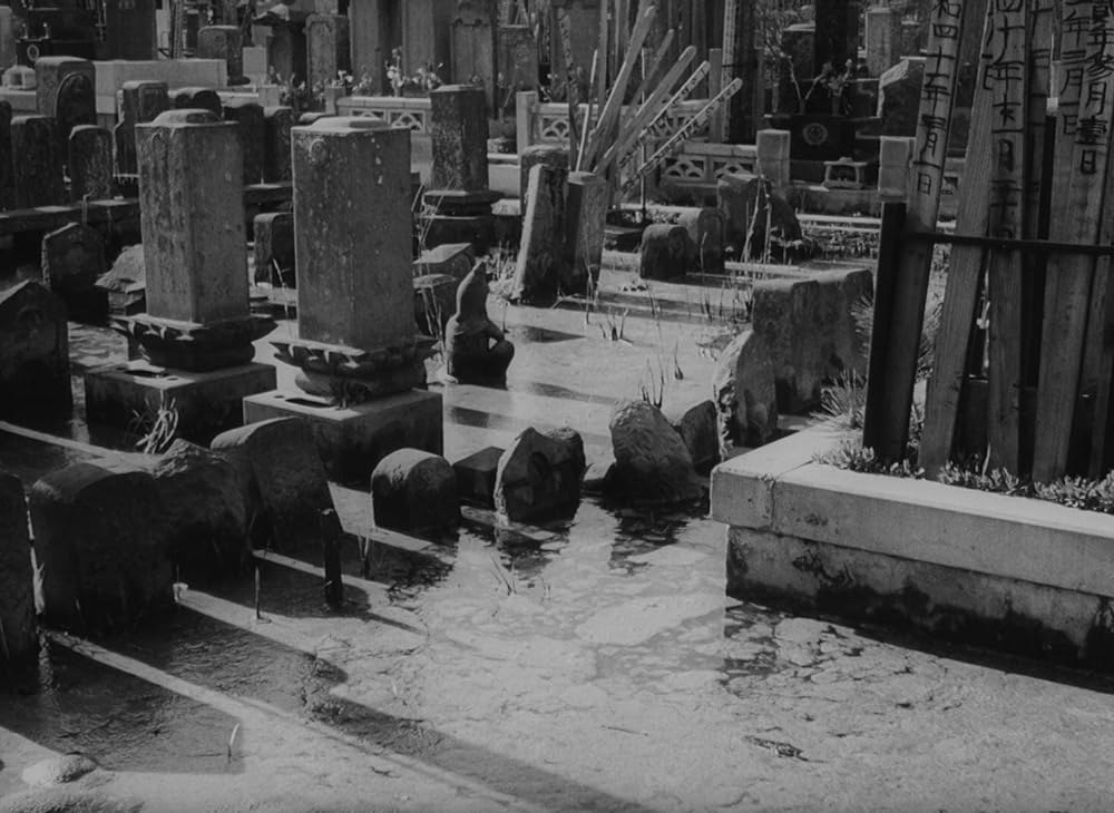 薔薇の葬列の画像