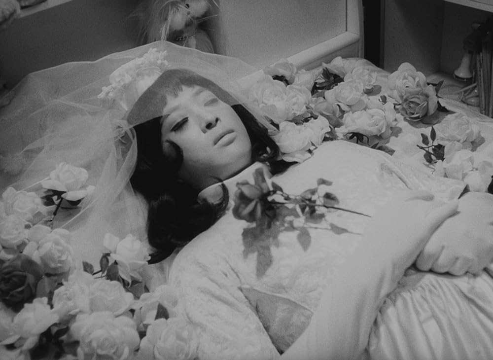 薔薇の葬列の画像