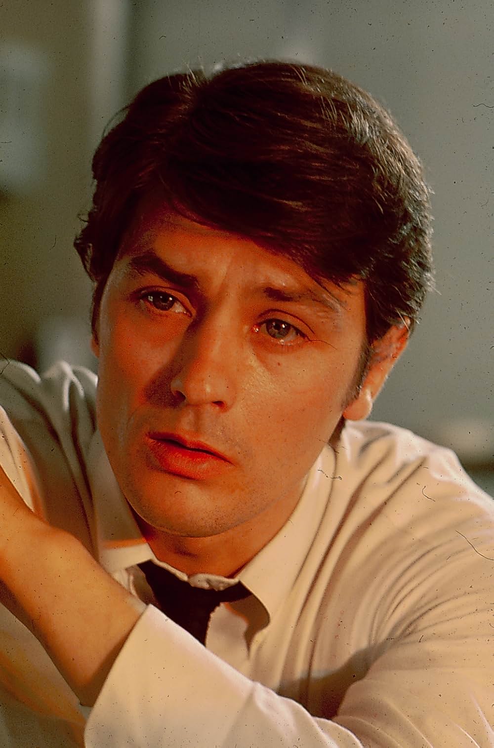 シシリアンの画像