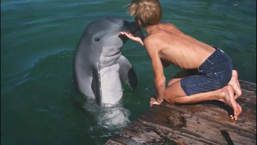 フリッパーの画像