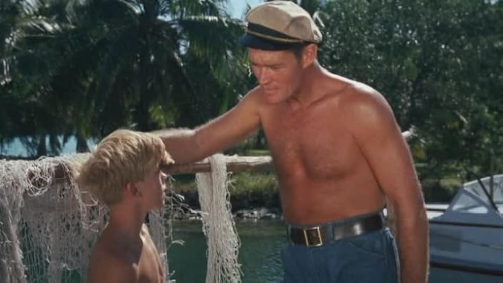 フリッパーの画像