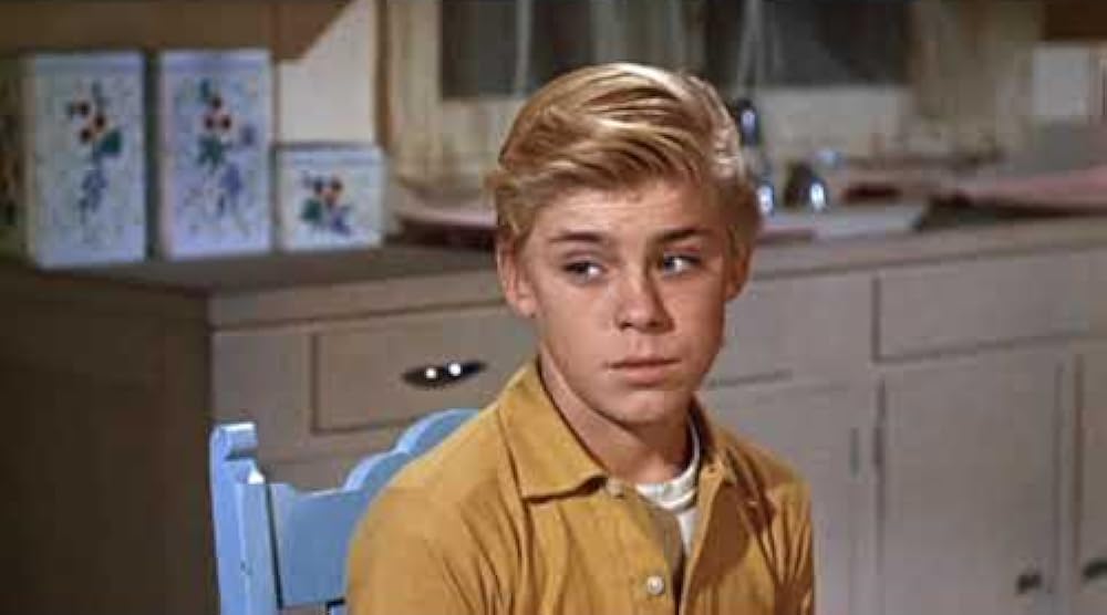 フリッパーの画像