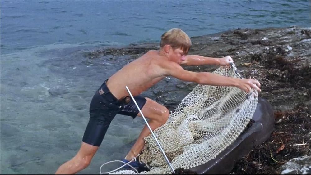 フリッパーの画像