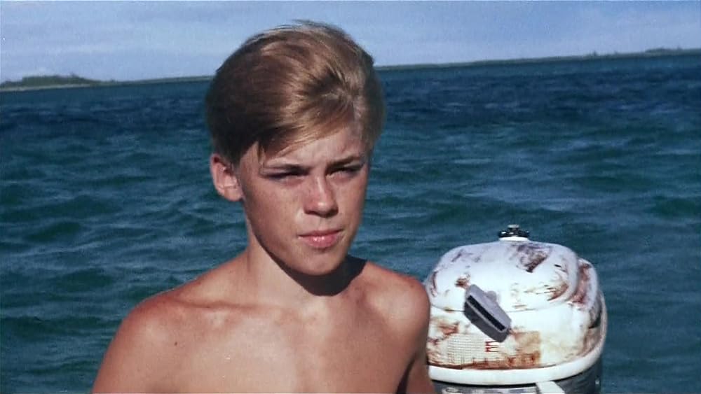 フリッパーの画像