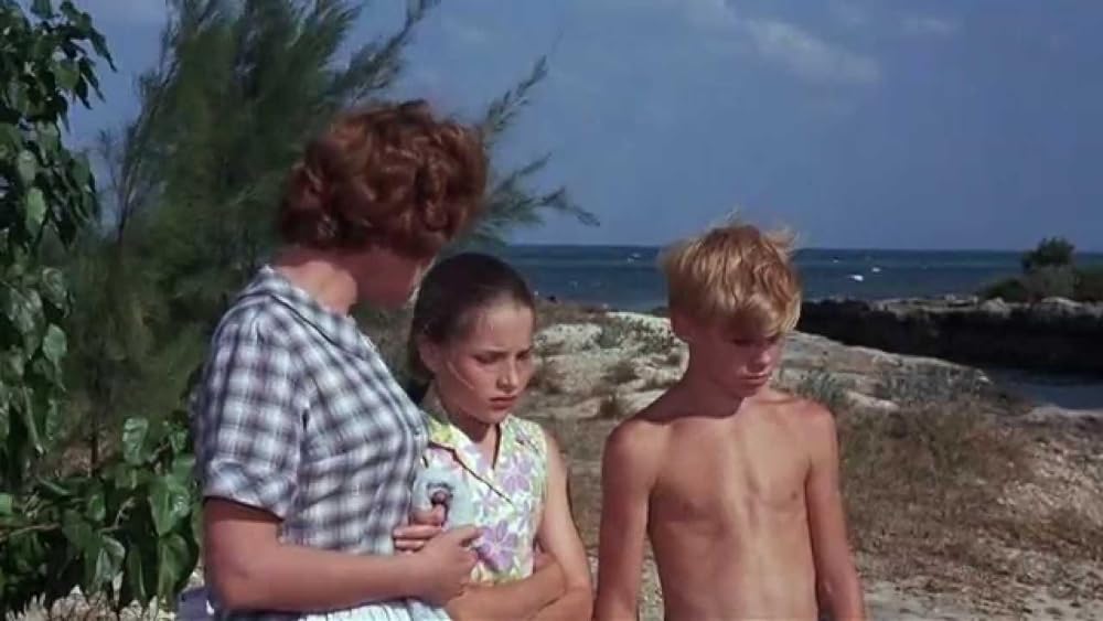 フリッパーの画像