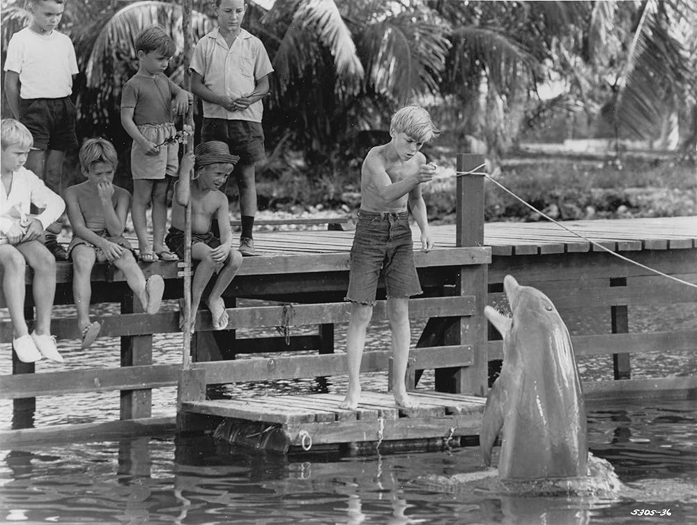 フリッパーの画像