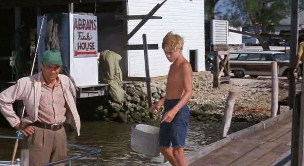 フリッパーの画像