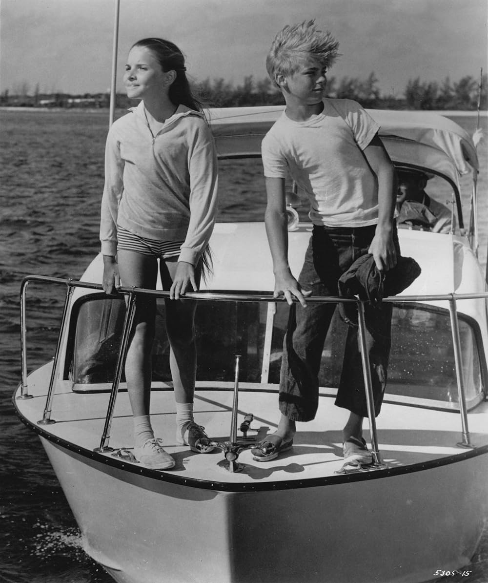 フリッパーの画像