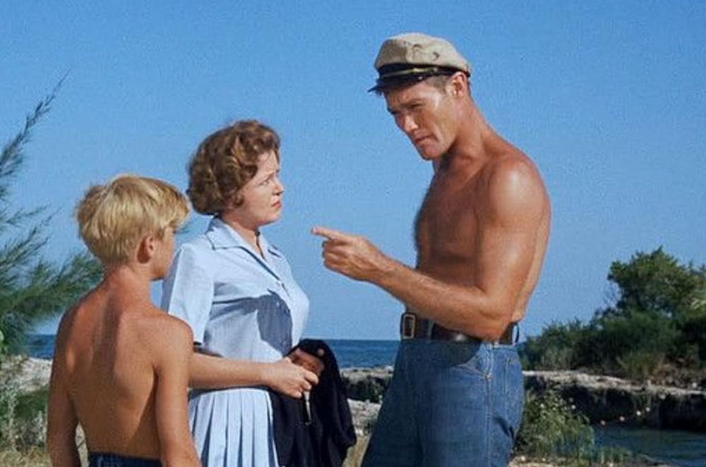 フリッパーの画像