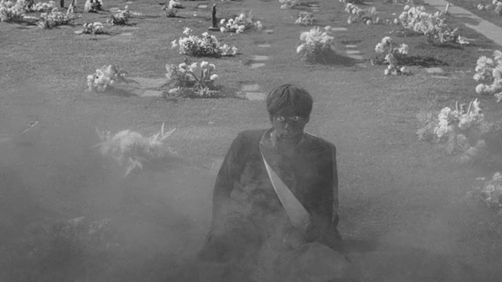 ラブド・ワンの画像