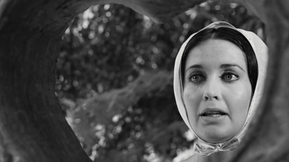 ラブド・ワンの画像