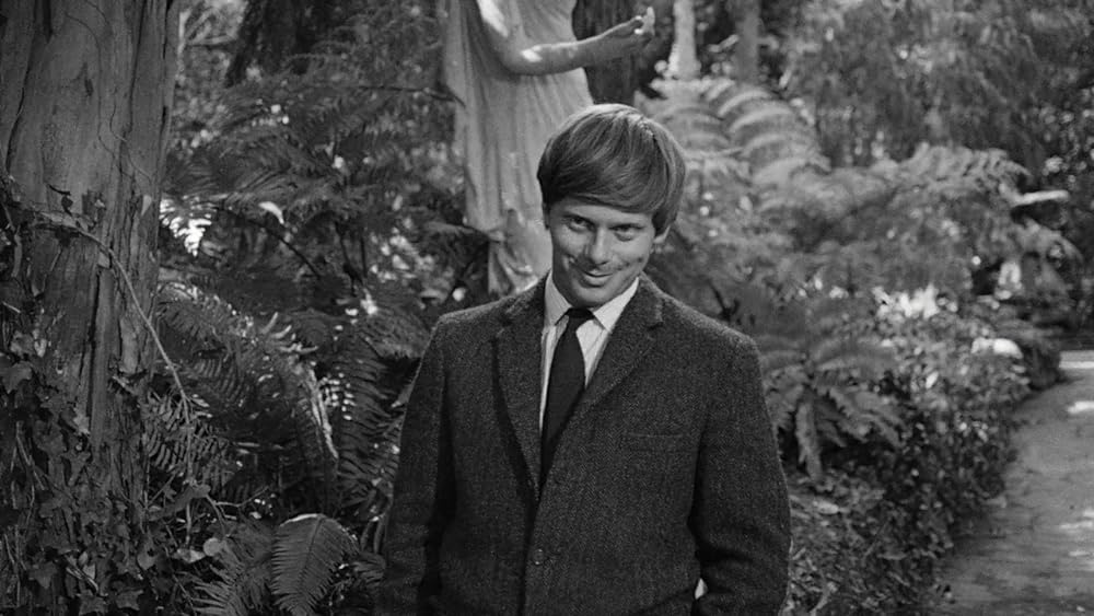 ラブド・ワンの画像