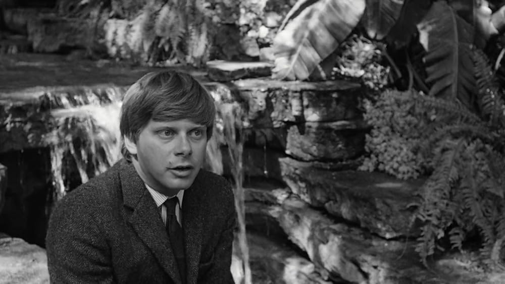 ラブド・ワンの画像