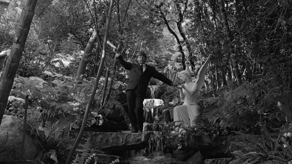 ラブド・ワンの画像