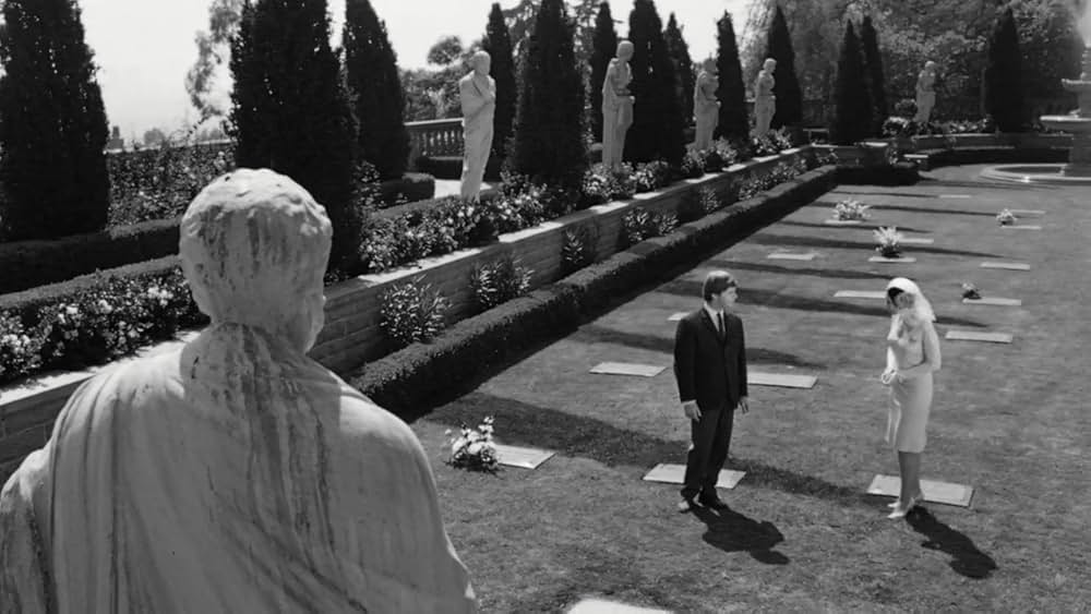 ラブド・ワンの画像