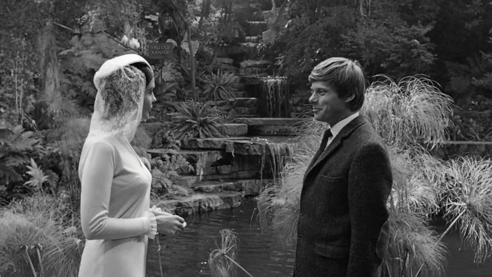 ラブド・ワンの画像