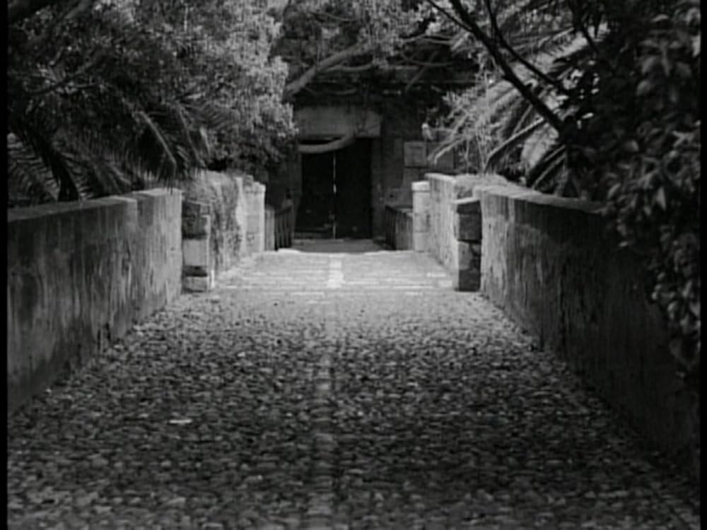 生の証明の画像