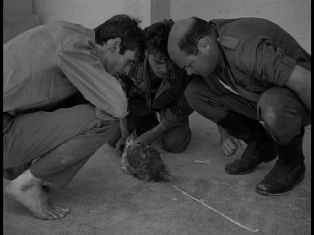 生の証明の画像