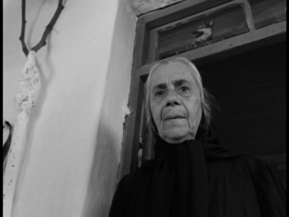 生の証明の画像