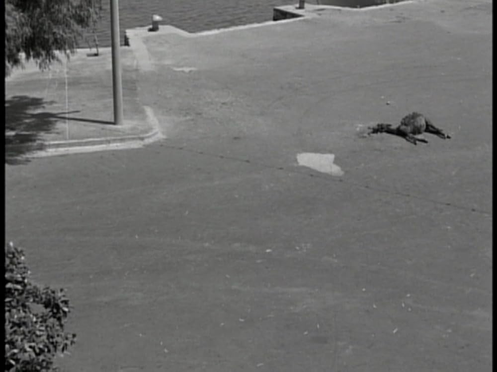 生の証明の画像