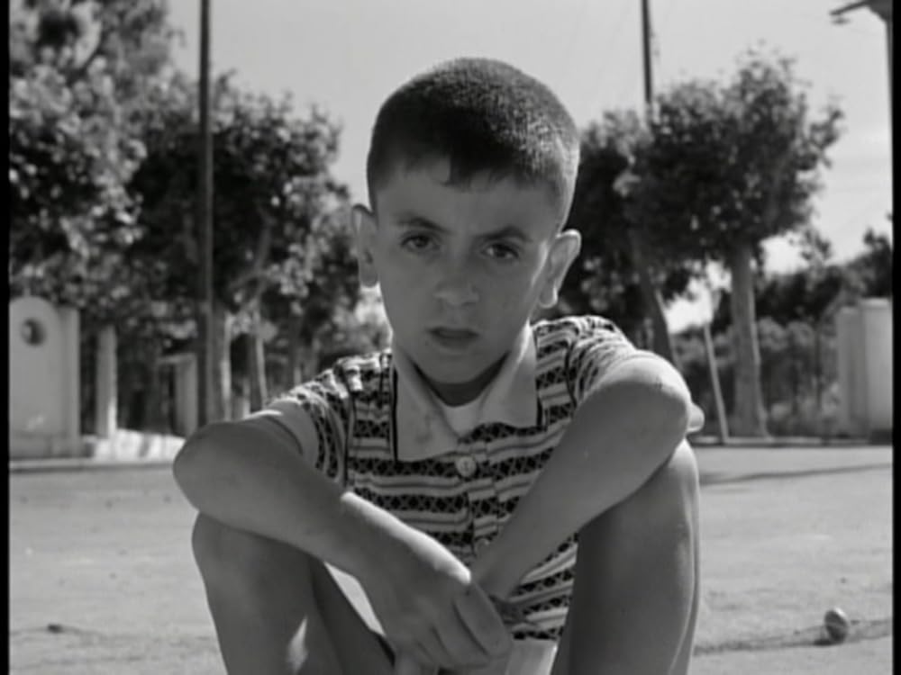 生の証明の画像