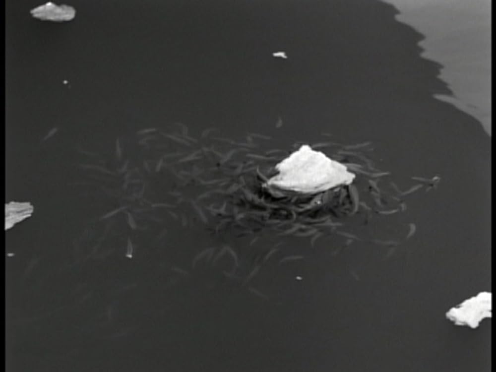 生の証明の画像