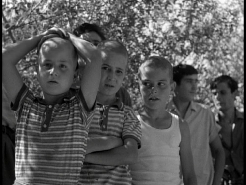 生の証明の画像