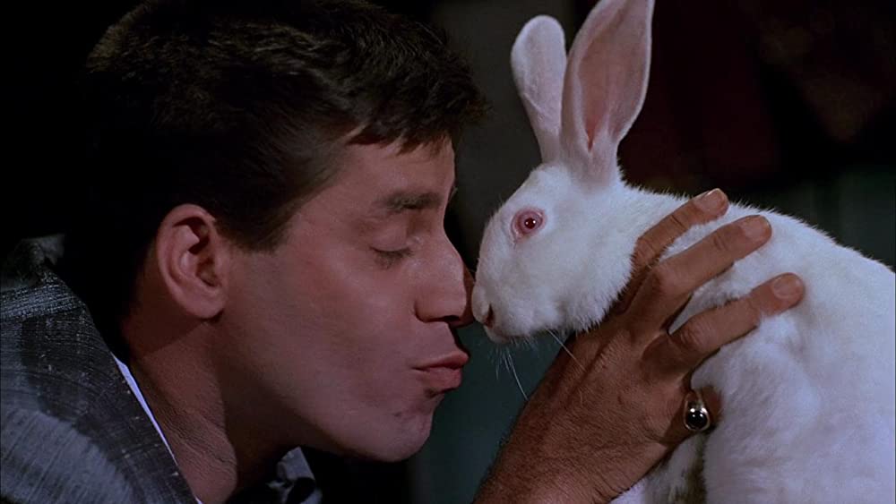 「底抜け慰問屋行ったり来たり」ジェリー・ルイスの画像