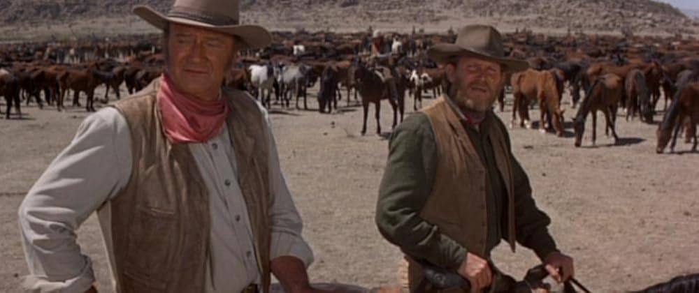 大いなる男たちの画像