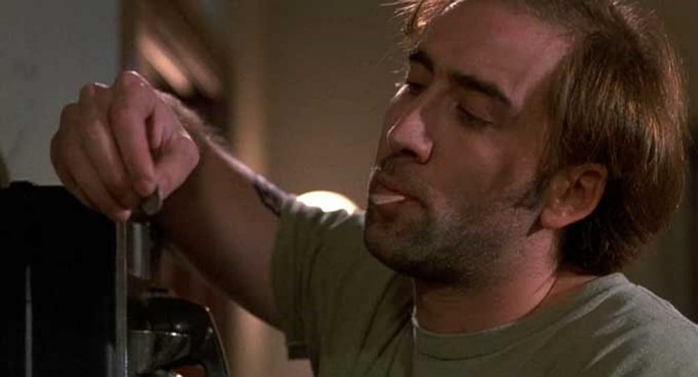 アモス&アンドリューの画像