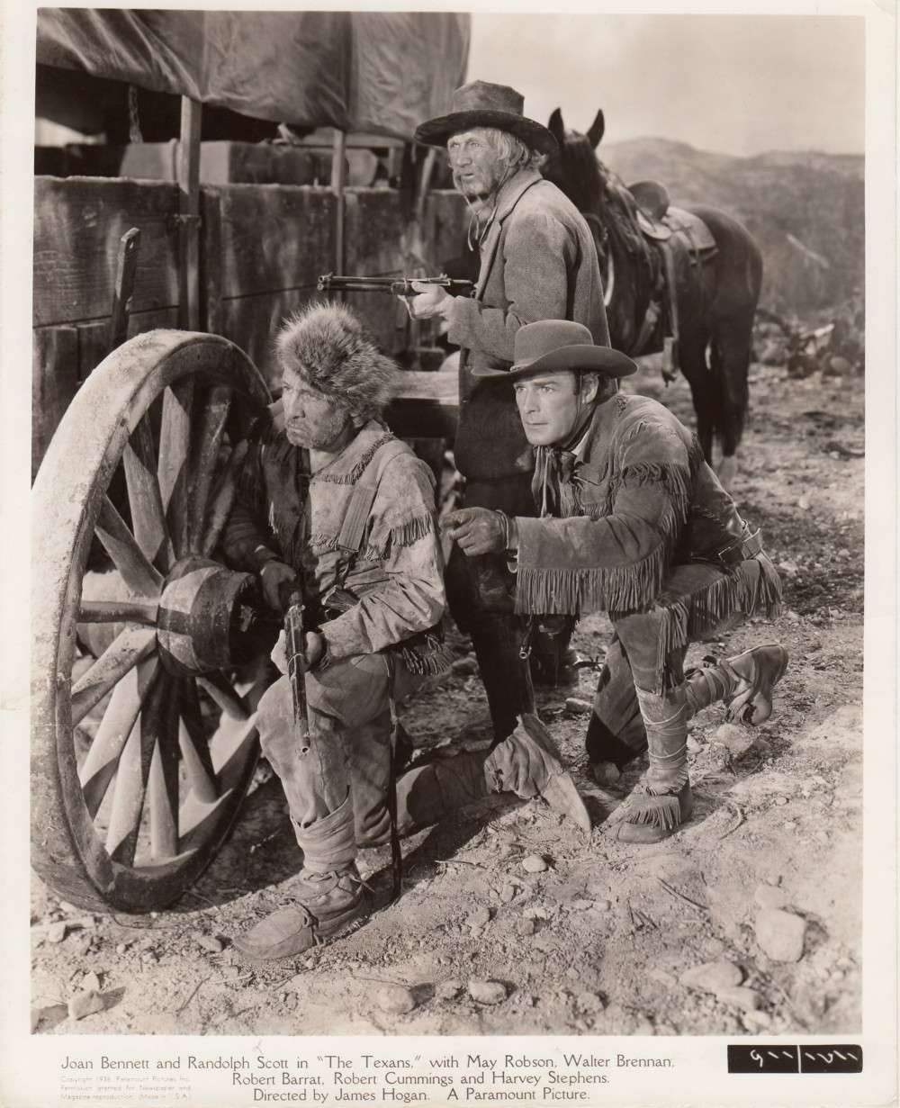 テキサス人の画像