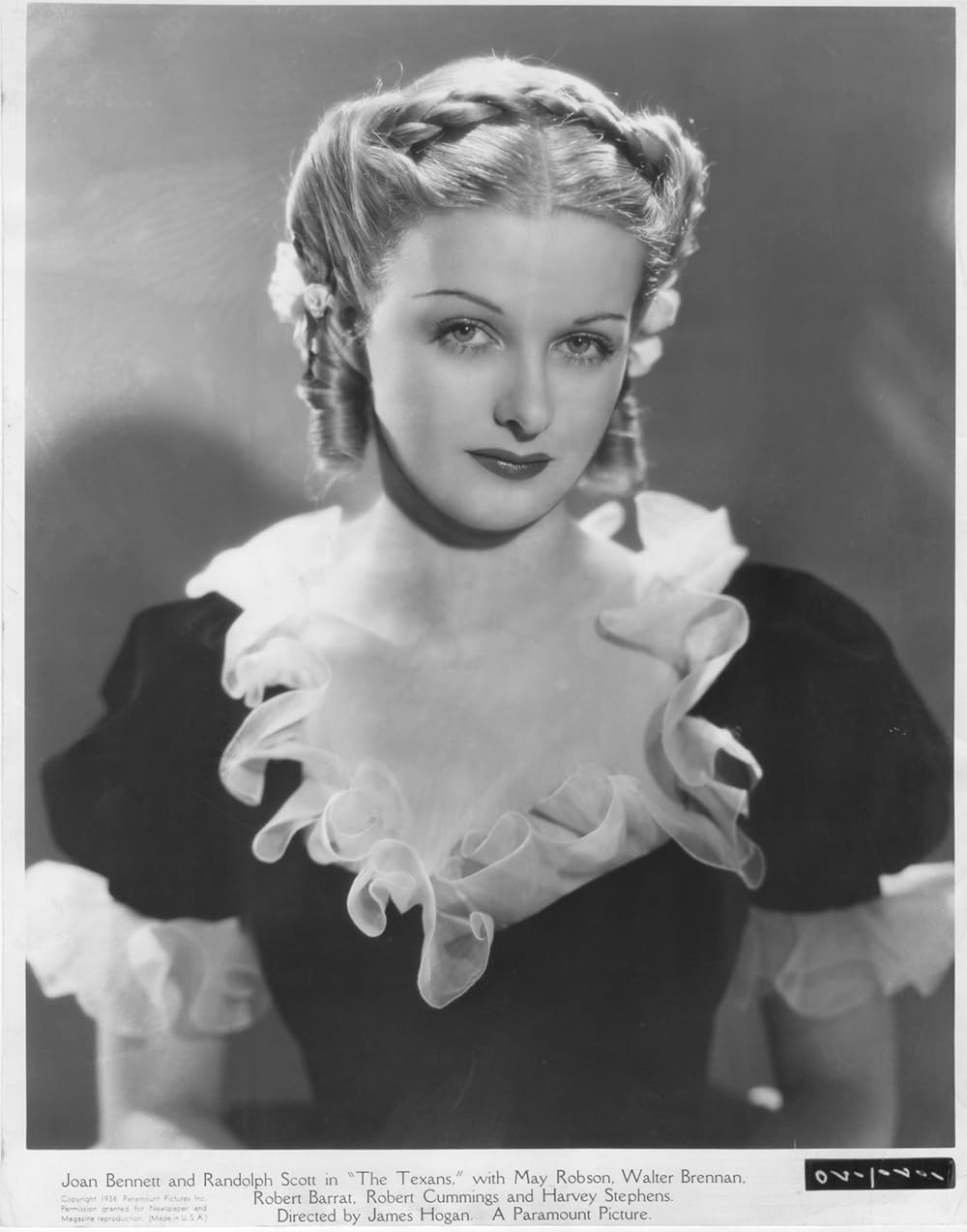 テキサス人の画像