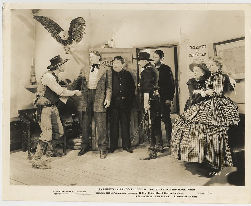 テキサス人の画像