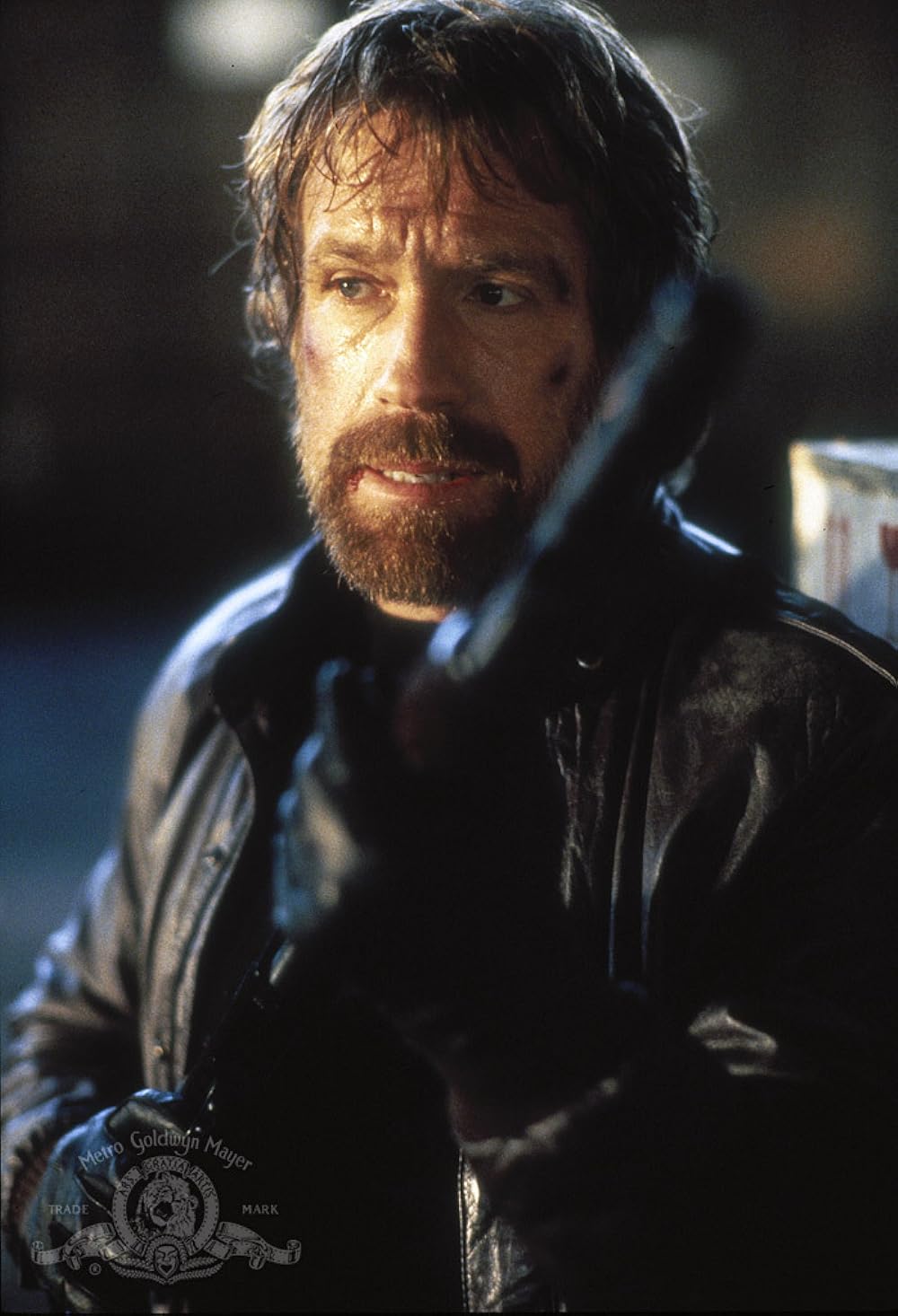 野獣捜査線の画像