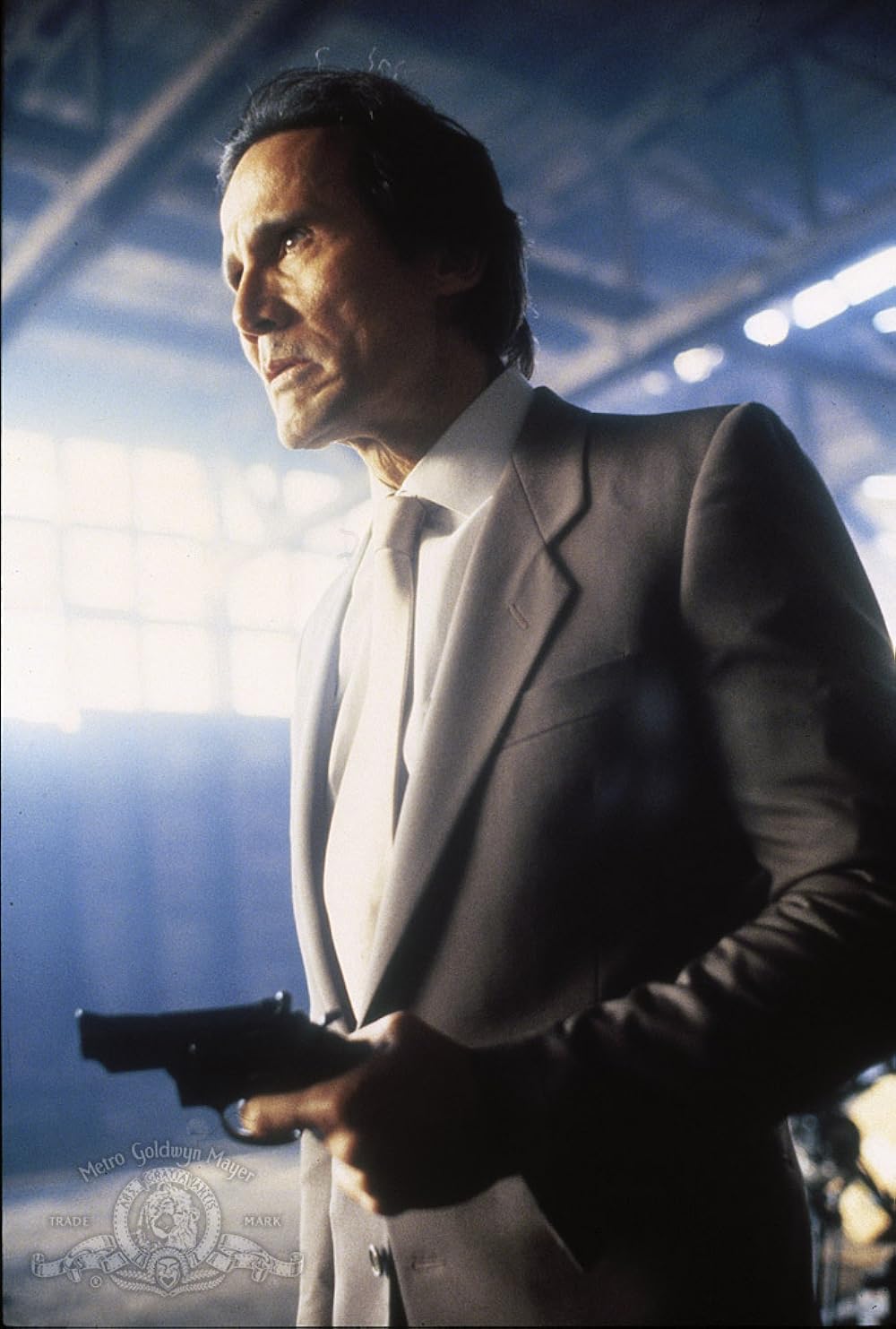 野獣捜査線の画像