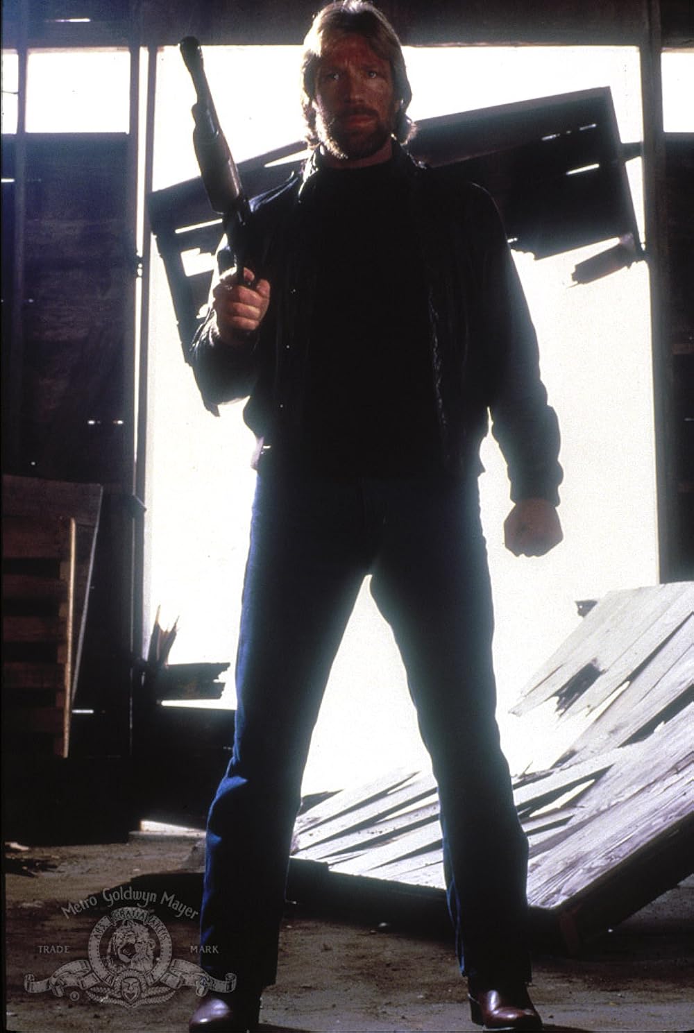 野獣捜査線の画像