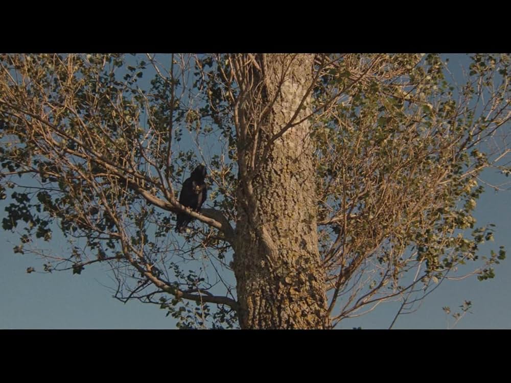 カオス・シチリア物語の画像