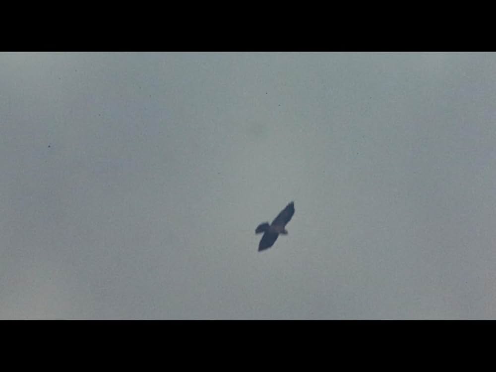 カオス・シチリア物語の画像