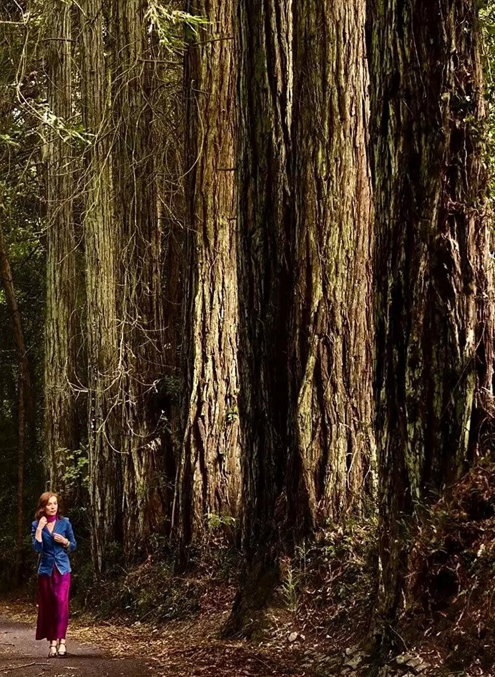 「ポルトガル、夏の終わり」イザベル・ユペールの画像