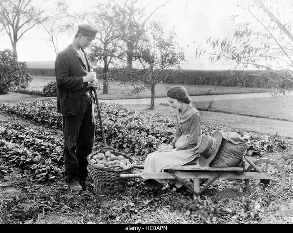 素晴しい哉人生の画像