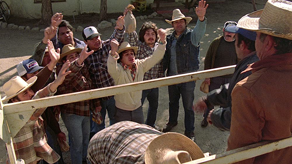 エル・ノルテ 約束の地の画像